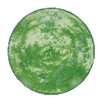 Тарелка RAK Porcelain Peppery круглая плоская 240 мм, зеленый цвет NNPR24PGN