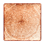 Тарелка WoodArt квадратная, цвет красно-коричневый 302 мм., плоская, фарфор RAK WDEDSQ30TB