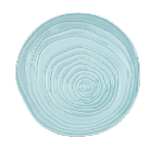 Тарелка мелкая; фарфор; D=280мм; голуб. Pillivuyt 213028BR1