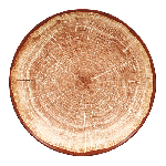 Тарелка глубокая WoodArt, "Coupe" круг.красно-коричневая d=230 h=40 мм., 690 мл. фарфор RAK WDNNDP23TB