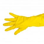 Резиновые перчатки Professional Paclan, р-р S 139200