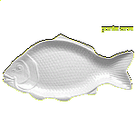 Блюдо д/рыбы; фарфор; H=4,L=52,B=27см; белый REVOL 5681