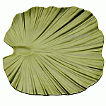 Блюдо д/подачи «Лист»; пластик; H=4.5,L=42,B=42см; зелен. APS 83866