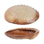 Салатник Pearl Ammonite Shell Frutti di Mare 365 мл 190х145 мм h50 мм P.L. Proff Cuisine B240020619-2410Q [1]