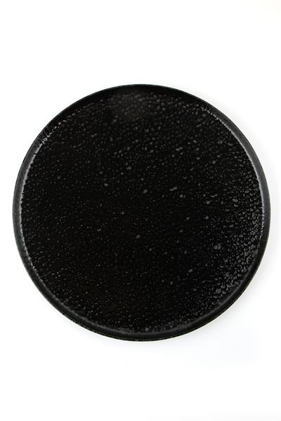 Тарелка с бортом BLACK MOSS фарфор, d 270 мм, h 15 мм, черный Porland 18CP27 BLACK MOSS