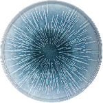 Тарелка с бортом «Нанокрем 891005»; фарфор; D=240мм, H=18мм; голуб. Kutahya NNROT24DU891005