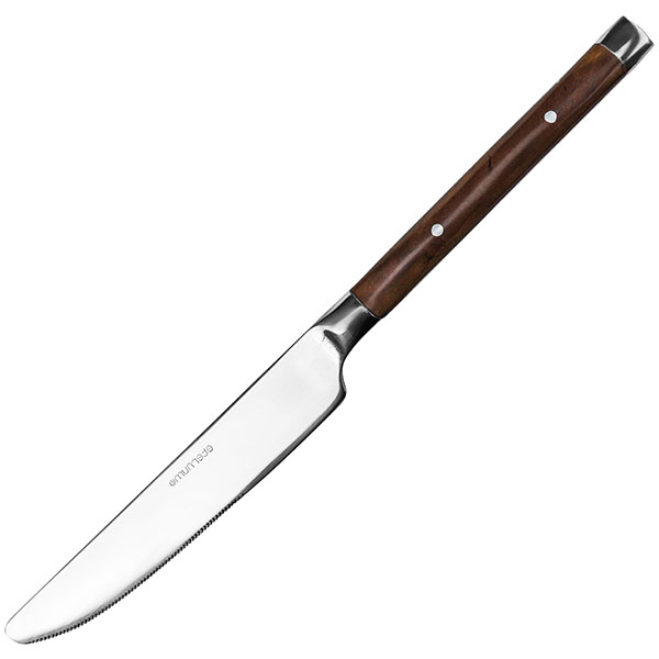 Нож столовый «Рустик»; сталь нерж.,пластик; L=225/120,B=18мм Eternum 8005-5