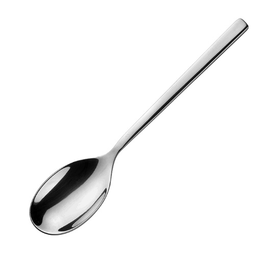 Ложка чайная Pintinox 20800007
