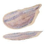 Блюдо овальное Light Purple Shell Northern Blue Frutti di Mare 518х235 мм h35 мм P.L. Proff Cuisine B240040653-2410E
