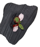 Блюдо черное прямоугольное Matsuyama 260х190 мм, P.L. Proff Cuisine H9721-B (кор=24шт)