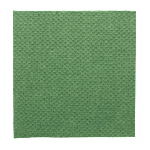 Салфетка бумажная Double Point двухслойная зеленая, 390х390 мм, 50 шт, Garcia de Pou 101.22