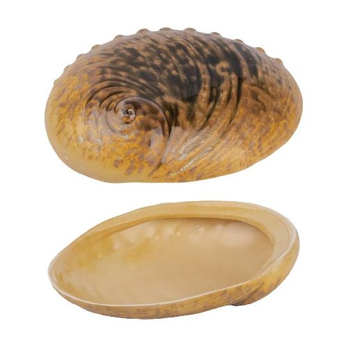 Салатник Light Pearl Ammonite Shell Frutti di Mare 365 мл 190х145 мм h50 мм P.L. Proff Cuisine B240020619-2401A [1]