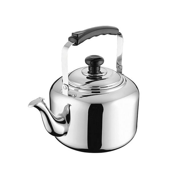 Чайник 6 л, металл, P.L. Proff Cuisine 040306--6LW05 (кор=1