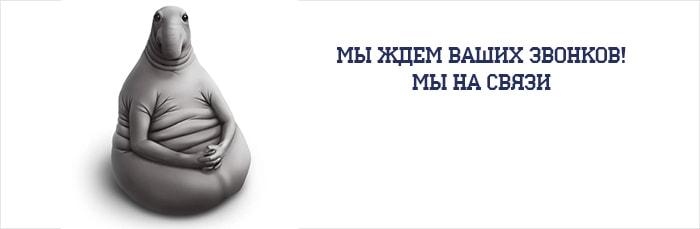 Ждём Ваших звонков!
