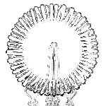 Тарелка мелкая "Аврора"; стекло; D=205 мм; прозр. Pasabahce 10512/b
