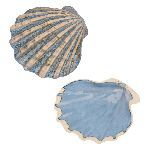 Блюдо для подачи Shell Northern Blue Frutti di Mare 130х125 мм h30 мм P.L. Proff Cuisine B23100613-2410I
