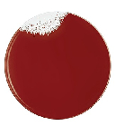 Тарелка мелкая «Холи Фё»; фарфор; D=215мм; красный, белый Chef&Sommelier L9678