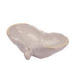 Салатник Gray Shell Frutti di Mare 325 мл 245х160 мм h70 мм P.L. Proff Cuisine B23164014-J