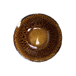 Салатник Madeira 6'' 150мм 400мл, коричневый Tvist Ivory