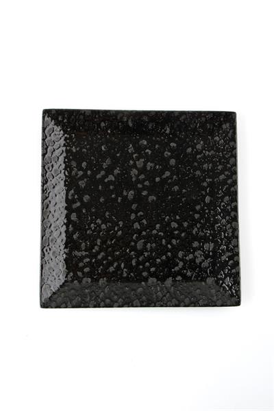 Тарелка квадратная BLACK MOSS фарфор, 180 мм, h 12 мм, черный Porland 188719 BLACK MOSS