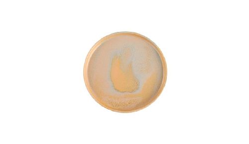 Тарелка с вертикальным бортом Stoneware Savanna d 215 мм h 22 мм Porland