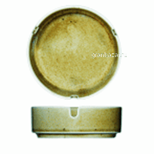 Пепельница «Крафт»; фарфор; D=10,H=3.5см; зелен. Steelite 1131 0479