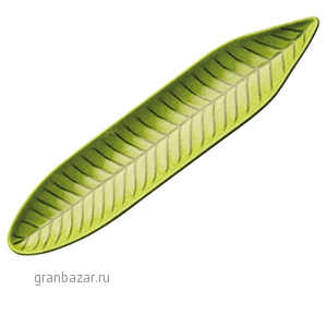 Блюдо д/закусок «Лист»; пластик; H=2.5,L=34.5,B=8см; зелен. APS 83862