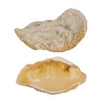 Блюдо для подачи Pearl Shell Frutti di Mare 199х80 мм h38 мм P.L. Proff Cuisine B2400406131-2410Z [1]