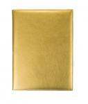 Папка-меню на винтах; кожезам.; L=32,B=25см; золотой LK 