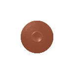 Тарелка NeoFusion Terra круглая D=300 мм., плоская, фарфор коричневый RAK NFMRFP30BW