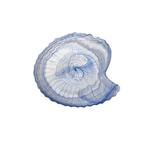 Тарелка Seasnail 310x290 мм h 42 мм, стекло, цвет / декор сине-белый ArdaCam