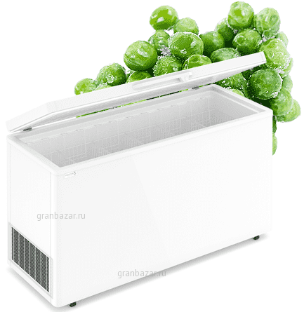 Морозильный ларь Frostor F500S (R290)