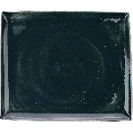 Блюдо прямоугольное «Визувиус Бёрнт Эмералд»; фарфор; H=15мм, L=330мм, B=270мм; зелен. Steelite 1203 0551