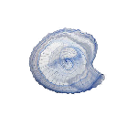 Тарелка Seasnail 310x290 мм h 42 мм, стекло, цвет / декор сине-белый ArdaCam