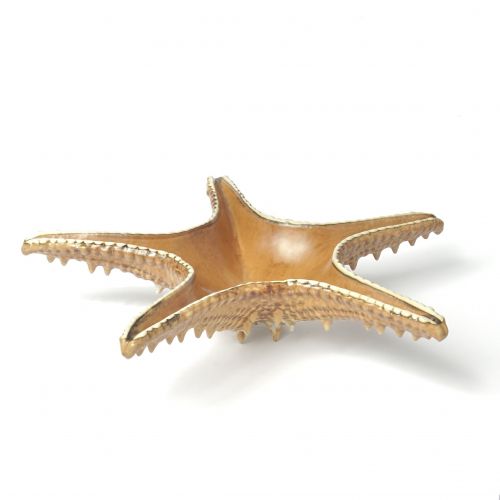 Блюдо Frutti di Mare 280 мм, керамика, P.L. Proff Cuisine QB23176003