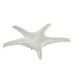 Блюдо для подачи Звезда Gray Starfish Frutti di Mare 240 мм h60 мм P.L. Proff Cuisine QB23176002