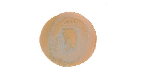 Тарелка Stoneware Savanna d 220 мм h 27 мм Porland