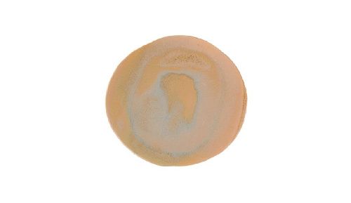 Тарелка Stoneware Savanna d 285 мм h 23 мм Porland
