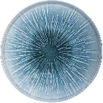 Тарелка с бортом «Нанокрем 891005»; фарфор; D=200мм, H=16мм; голуб. Kutahya NNROT20DU891005