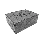 Термоконтейнер «Нормал» до 50 кг полипроп. 84л ,H=320,L=800,B=600 ммTermobox черный