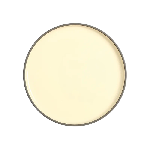 Тарелка Bliss с бортом D=270,H=22мм бежев. фарфор KunstWerk CHP11945-J19