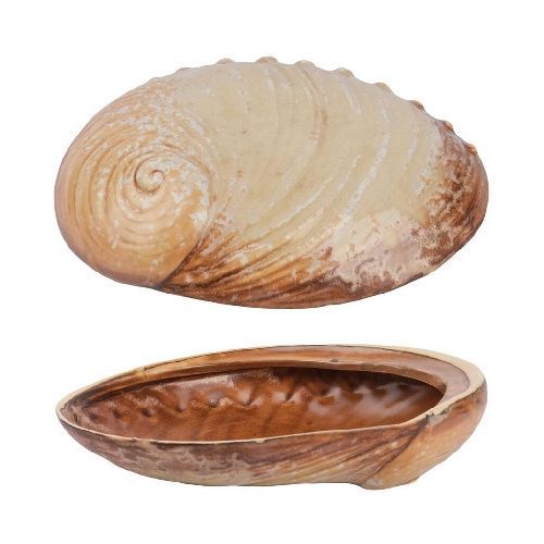 Салатник Pearl Ammonite Shell Frutti di Mare 365 мл 190х145 мм h50 мм P.L. Proff Cuisine B240020619-2410Q [1]