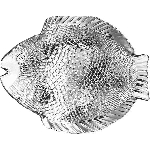 Блюдо-рыба "Марин"; стекло; H=26, L=260, B=210мм; прозр. Pasabahce 10257/b