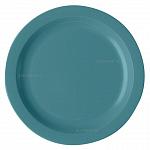Тарелка с узким ободком 25,4см синевато-серый Cambro 10CWNR 401