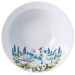 Гуси (Дулево)