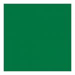 Салфетка бумажная зеленая, 400х400 мм, материал Airlaid, 50 шт, Garcia de Pou 166.09