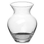 Ботаника (Pasabahce-завод Бор)