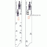 Линейка «Русский С-т 0.375,0.5,0.75,1л» пластик; L=28,B=2см; белый STEK 1001